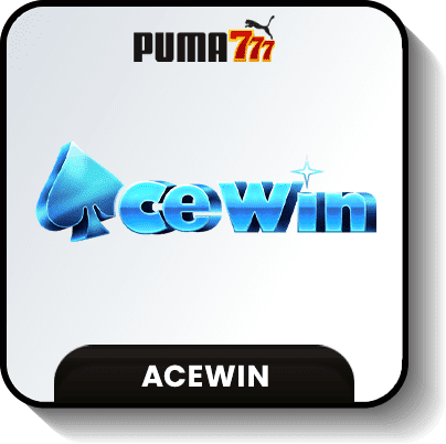 Acewin